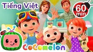 Xin Lỗi, Xin Thứ Lỗi | Bài hát dành cho trẻ em | CoComelon Lồng tiếng việt - Karaoke dành cho trẻ em