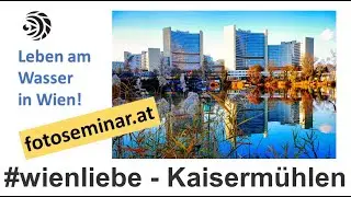 Auf den Spuren des Kaisermühlen Blues | 