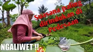 Nikmatnya, ngaliwet dipesawahan ditemani suasana keindahan alam Pedesaan.