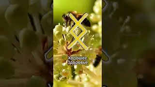 Значение руны Ингуз. 