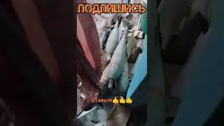 СВО Приходите В мой ДОМ 