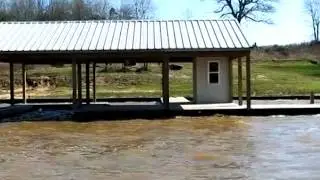3145.mp4