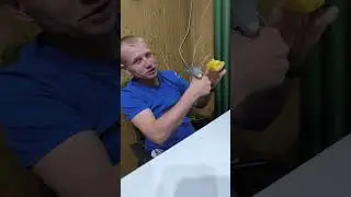 волнистый попугай любитель кукурузы