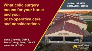 What colic surgery means for your horse and you: post-operative care and considerations