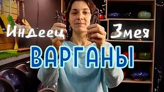 ★ Красивые ВАРГАНЫ ГЛАЗЫРИНА ★ ЗМЕЯ и ИНДЕЕЦ