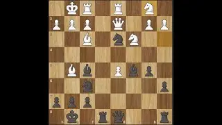 What is an octopus knight in Chess?