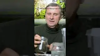 A Visit from the Underworld 
