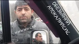 Конфликты с обочичниками на МКАДе. ОБЕЗЬЯНИЙ БУНТ.