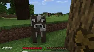 Minecraft let’s play part 1|gamerguy