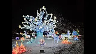 Winter Wonderland Praha