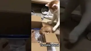 Quien se siente representada?? Amo a mi hija pero en las mañana me desespera cuando no se apura