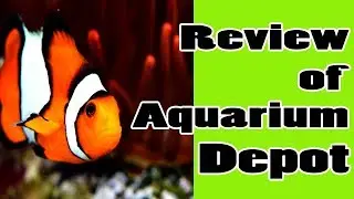 AquariumDepot - Saltwater Aquarium Super Store