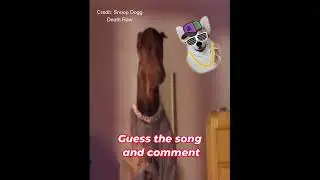 Old school hits ? This Dog can't get enough