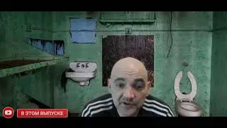 Мопс дядя Пёс