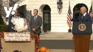 Biden pardons turkeys, reflects on Thanksgiving