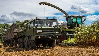 Автопоезд ТАТРА 813 | Road Train Tatra 813! Corn Harvest! Harvest & Load & Transport!