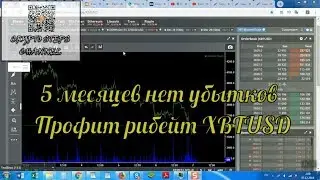 ➓ 5 месяцев нет убытков  Профит рибейт XBTUSD  6 12 18