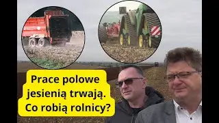 Jakie metody agrotechniczne wybierają rolnicy na zimę? 