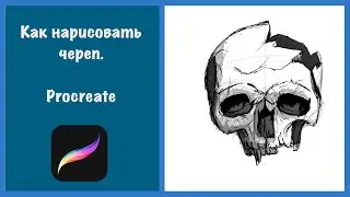 Как рисовать череп. (Эскиз черепа на планшете iPad)
