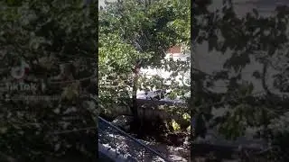 Burdur Çavdır anı