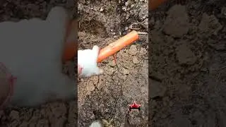 Попадание в голову. Останки погибших солдат на дне противотанкового рва.