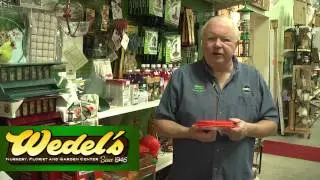 Attracting and Feeding Orioles