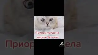Обгоняю Приору 