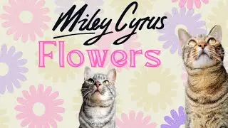 Miley Cyrus - Flowers | Piano Cover