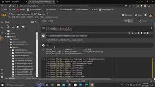 face Mask Detector project in python (ML project)