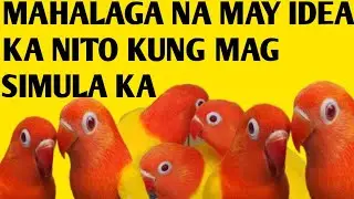PARA WALANG PROBLEMA