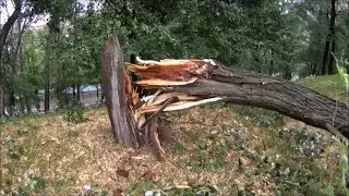 СТРАШНЫЙ УРАГАН. Сломленные деревья, унесенные крыши! Нет воды и электричества. Беларусь, июль 2024