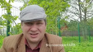 Только возвращение СССР спасет нынешнюю ситуацию.