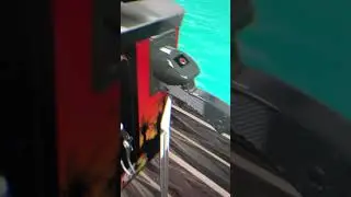 Fishtales plunger in VR.  Size update