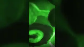 yup