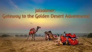 Rajasthan Series | Episode 4 : Jaisalmer | Desert Diaries: Day in the Golden Dunes #travelguide2024
