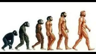 What is evolution?