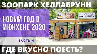 Зоопарк Хеллабрунн в Мюнхене зимой | Куда сходить и где поесть в Мюнхене?