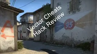 Vector Cheats Review