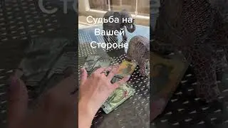 Судьба благоволит