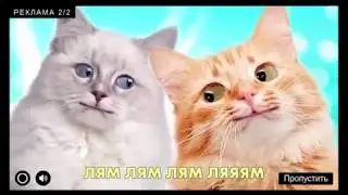 СПЕКОТНИЙ ЛЯМ РЕКЛАМА