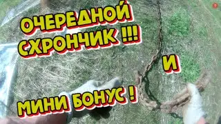 КОП! ЦЕНА УТРОМ ОДНА ВЕЧЕРОМ ДРУГАЯ КАК ТО ТАК!!! МЕТАЛЛА КОП 2023г.