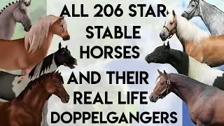 All 206 Star Stable Horses And their Real Life Matches (Old)