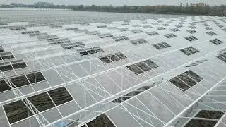 Hoogeveen Plants Okt '2021
