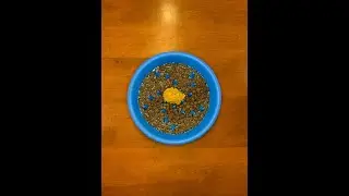 Add these 3 ingredients to your dog’s kibble 🐶 