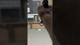 PM Makarov 9 mm (9/18) shooting test.
