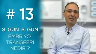 3. GÜN VE 5. GÜN EMBRİYO TRANSFERİ NEDİR? #13