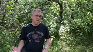 TREE Video 1: Project Introduction