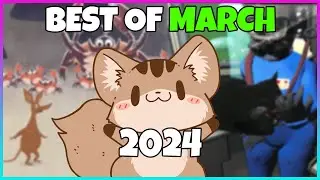 Best of March 2024 Twitch | squiresoup