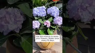 Solve the problem of dry and hard soil  #gardening #agriculture #farming