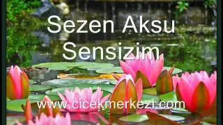 Sensizim